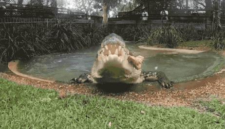 30张活久未见的图片,30组活久见的照片