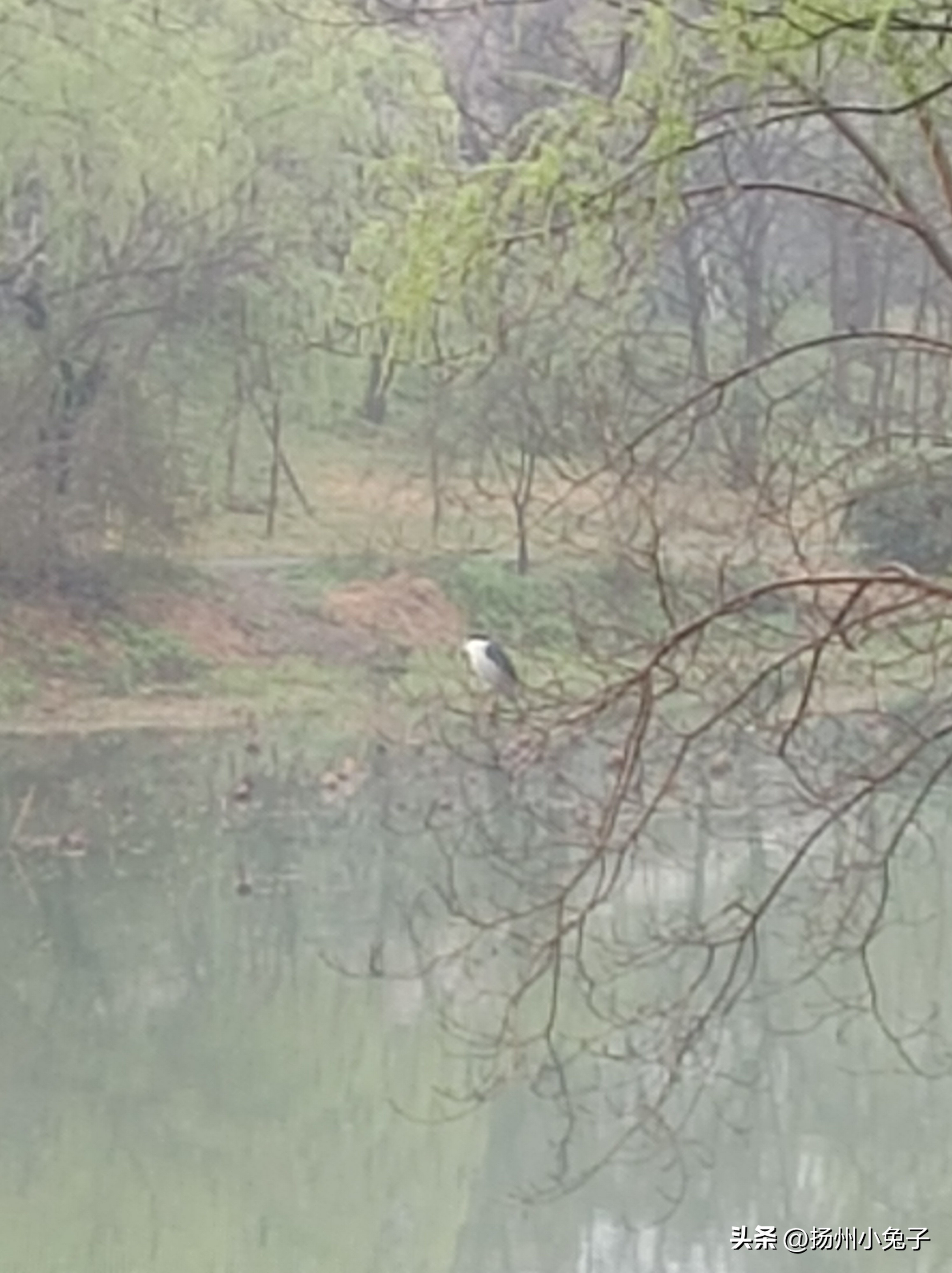 和闺蜜“皮包水”的美美体验,你有过没有?