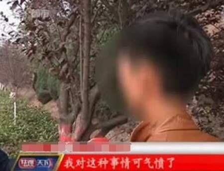 男孩被妈妈碰到他立刻报警,男孩被妈妈教训后报警原视频