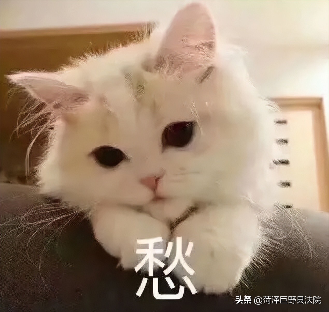 警惕换钱诈骗真实案例,警惕套路有市民被骗近百万元