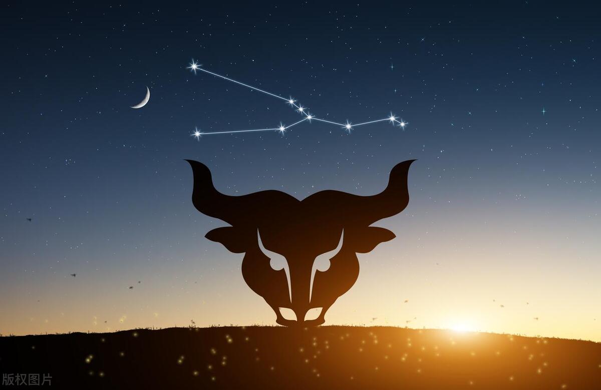 属相虎2023年下半年有桃花运吗,2023年属虎星座运势