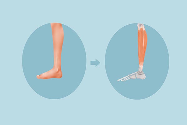 女性每晚100个深蹲的好处,每晚做深蹲最好做几个