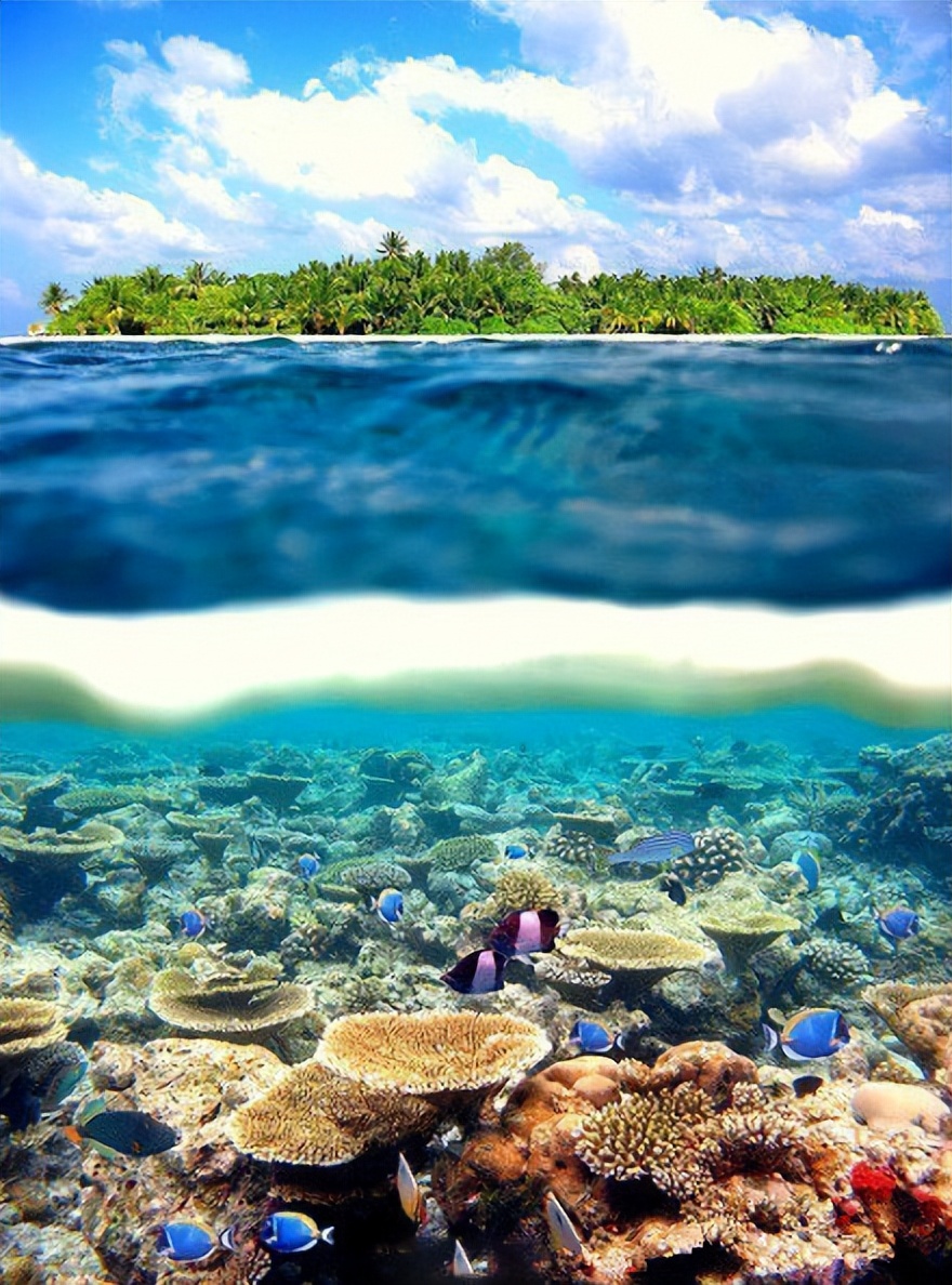 海岛中的爱马仕大溪地,大溪地小众海岛