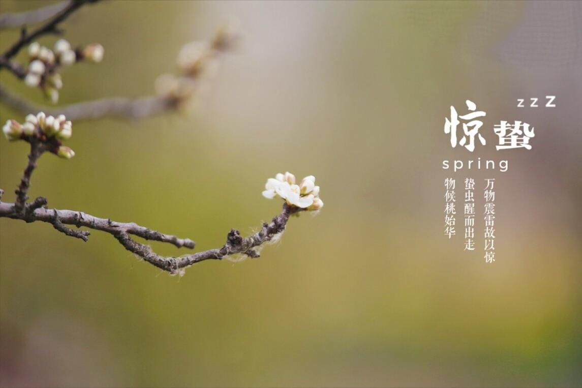惊蛰春雷惊万物下一句是什么,惊蛰春雷一响惊百虫