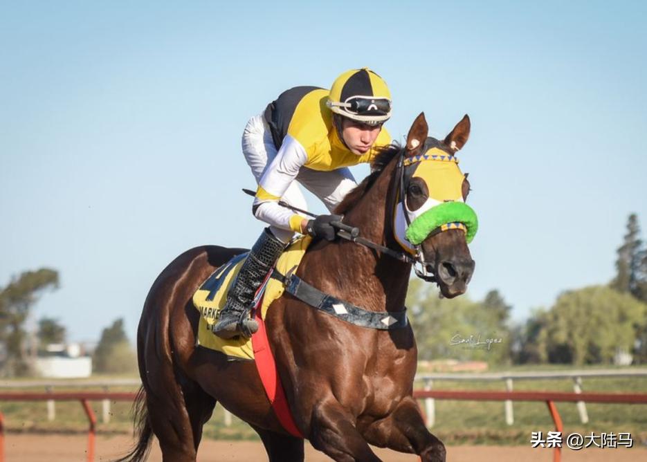 阿根廷举国狂欢,阿根廷举国疯狂