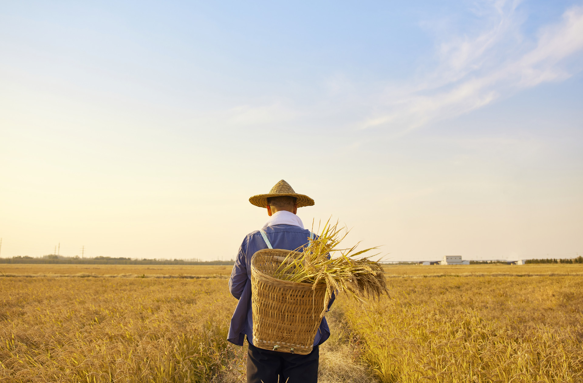 什么是寿有五不过后代福气多,寿有四不过子孙福气多