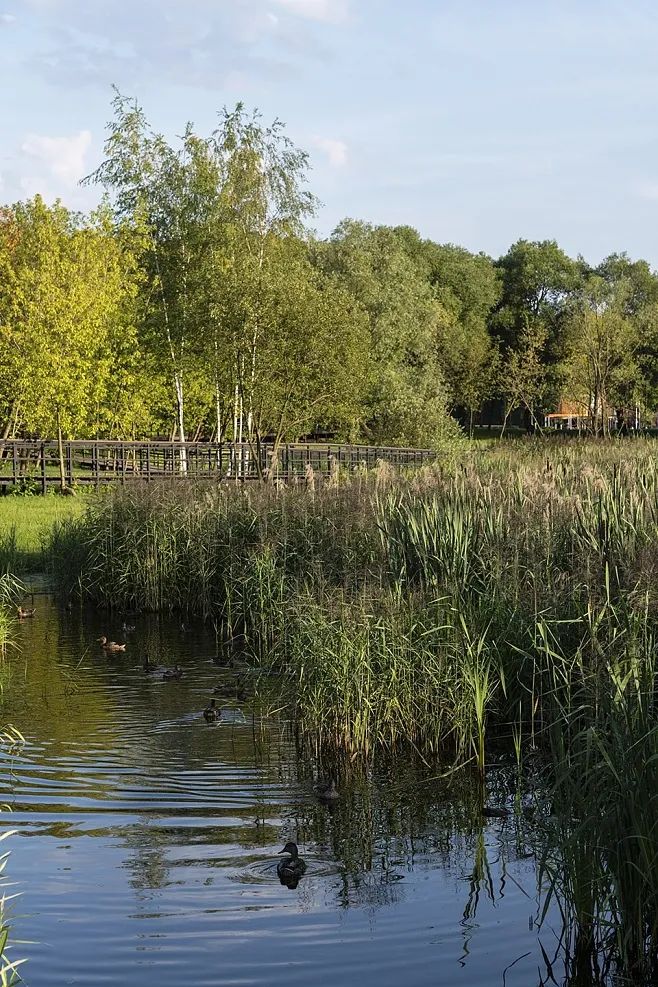 农村黑臭水体治理由哪个部门负责,福建漳浦：黑臭水体治理见行见效