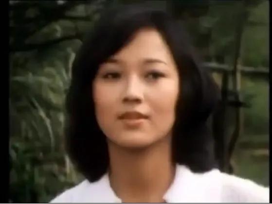 TvB历年电视剧系列,tvb历年电视剧列表