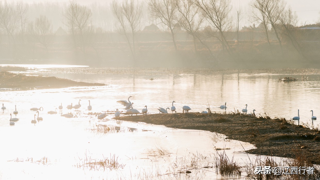 漫步天使乐园(旅拍)