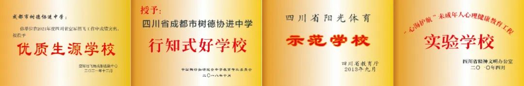 树德协进中学2019年喜报,树德协进高中位次