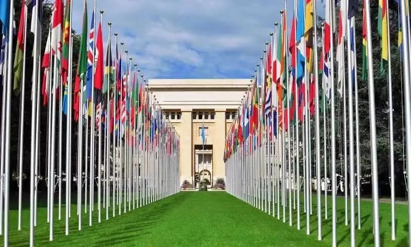 我与书的不解情缘原创,瑞士的一切令我难忘