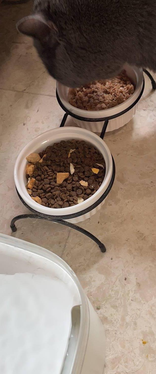 假期赚钱小副业大学生,假期路上堵车农民发现商机