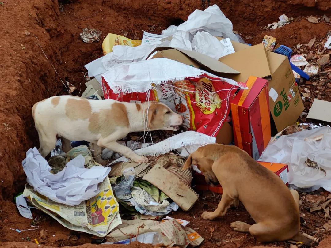 集中营六记,集中营逃亡7年