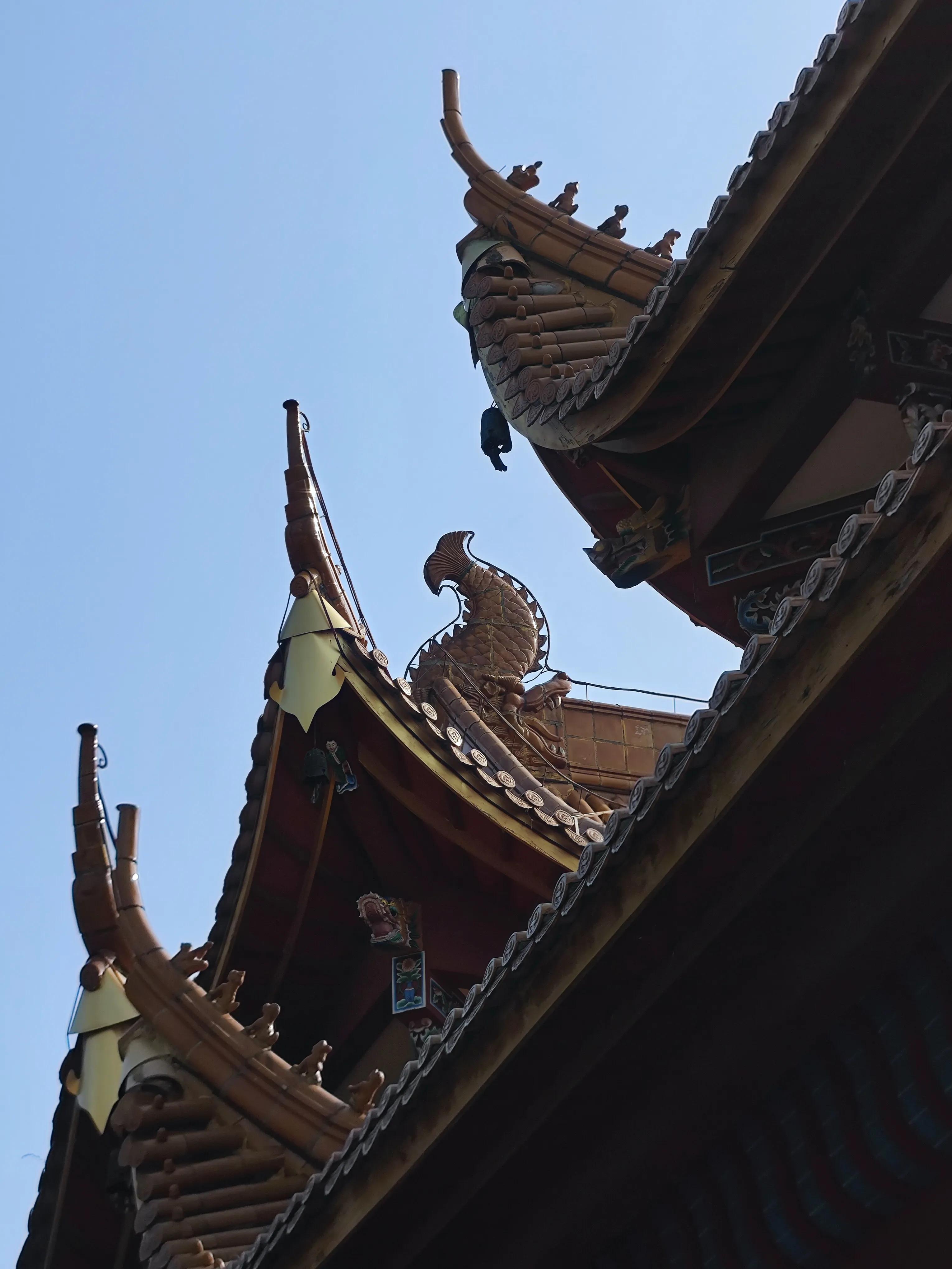 手拍世界作品专集,手拍世界283期