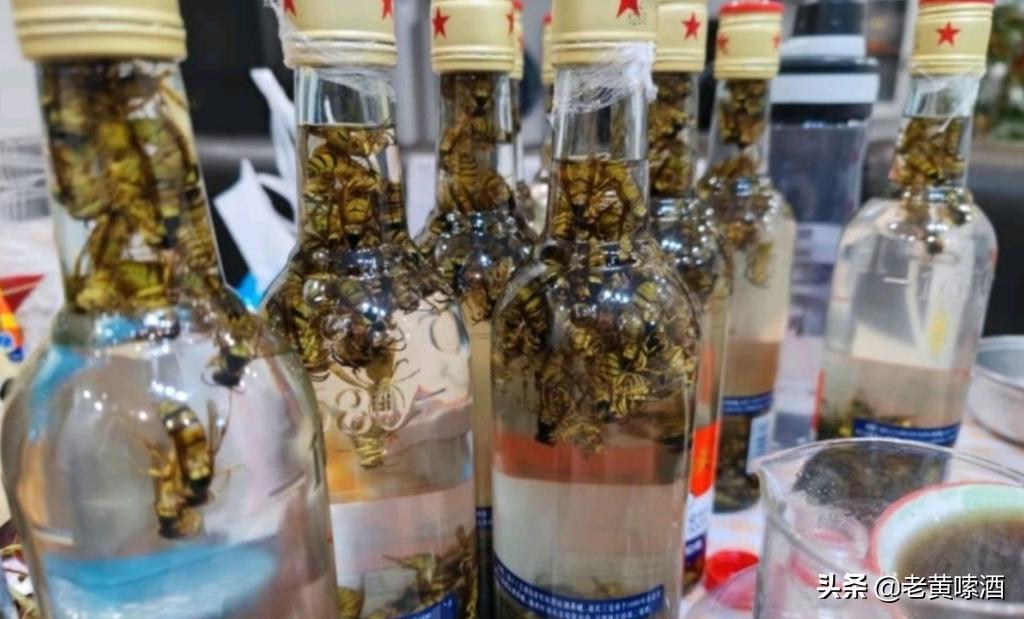 蓝瓶52度红星二锅头泡酒行吗,泡酒用红星二锅头绿瓶还是蓝瓶