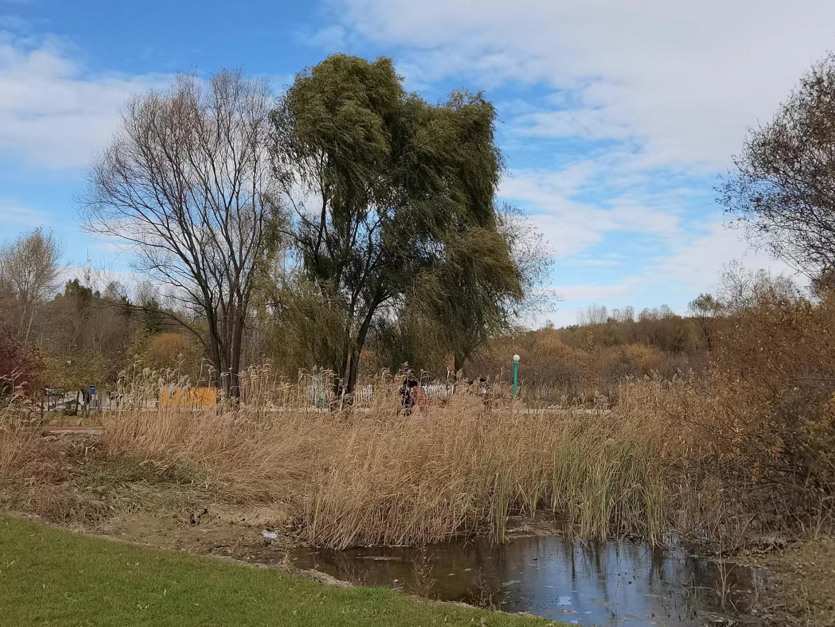 泸州老窖和五粮液售价比较,泸州老窖和五粮液高端酒价格对比