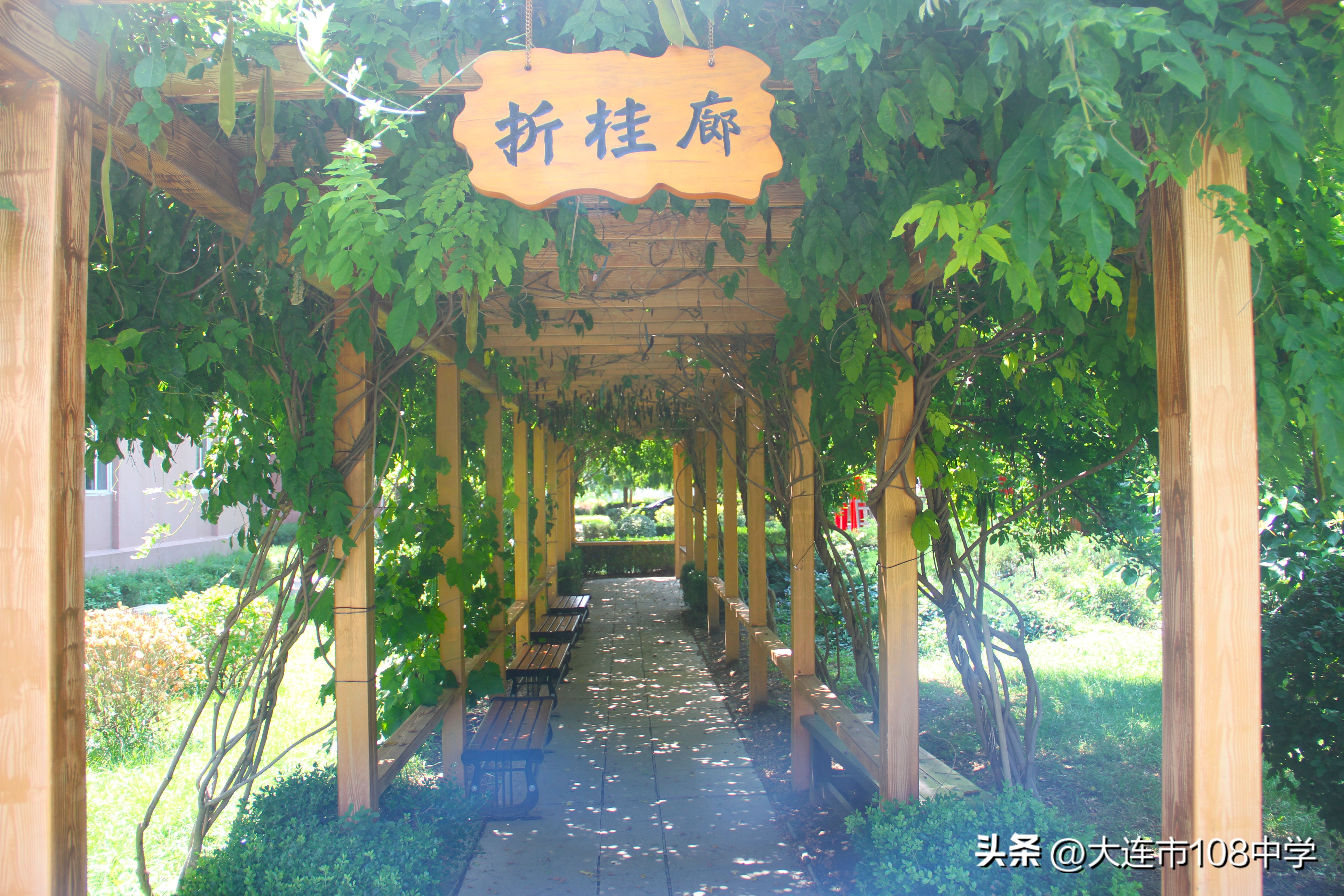 规划发展思路,规划引领勇立潮头