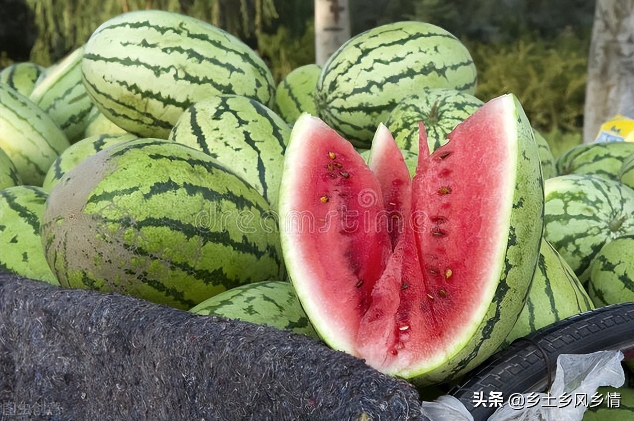 西瓜生熟鉴定口诀,西瓜怎么分辨才又脆又甜
