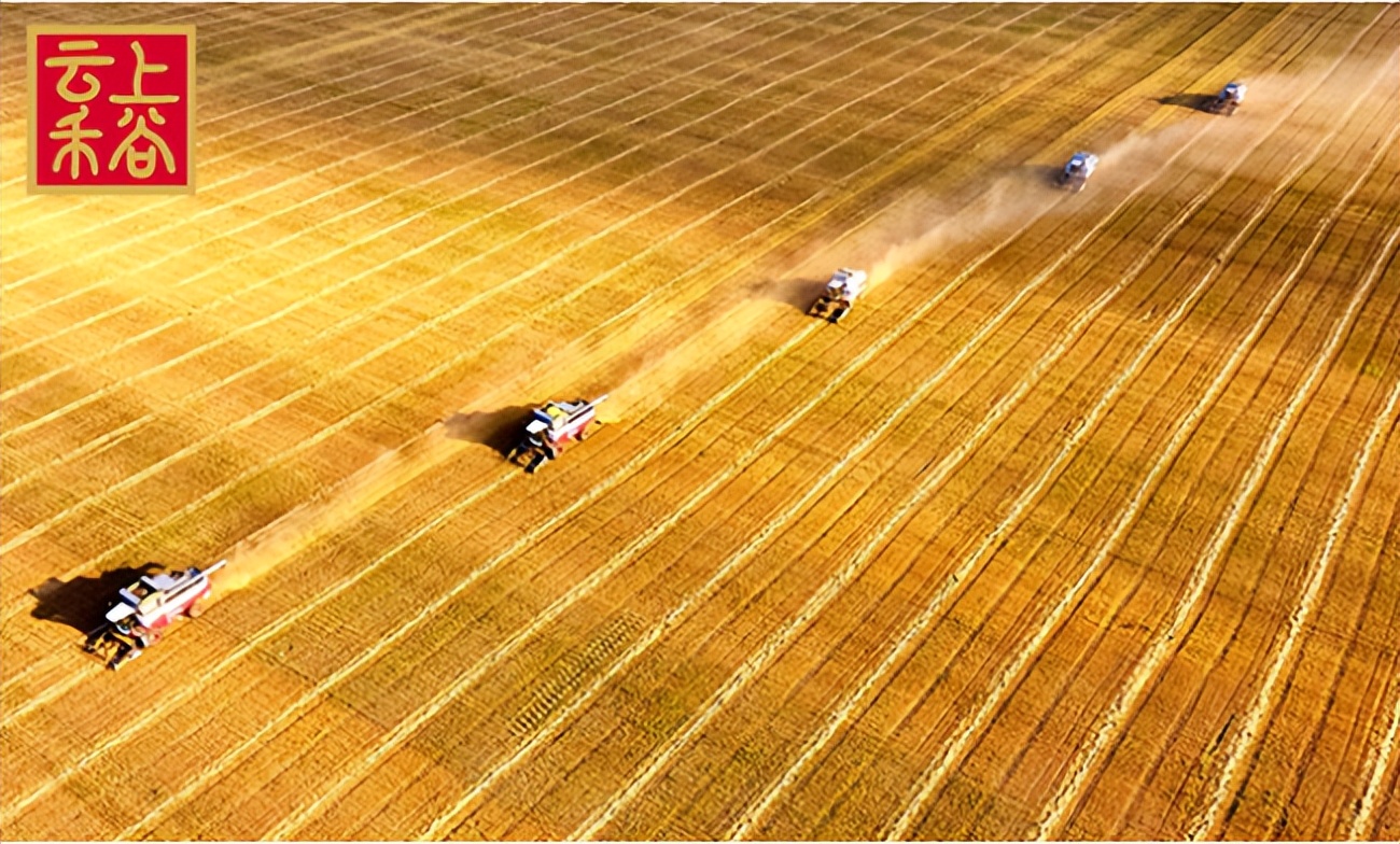 靠谱的粮油进货渠道有哪些,2020年想开个粮油店在哪里进货