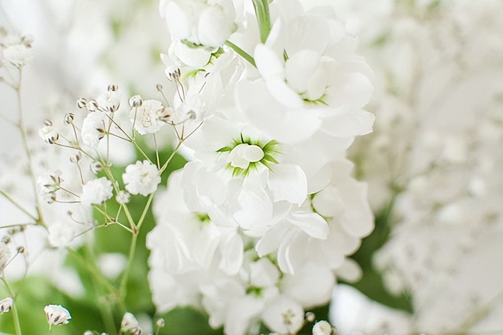 物理化学防晒霜到底该选哪个,药学硕士推荐防晒