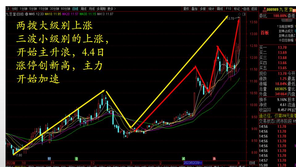 2024九芝堂股价趋势图,九芝堂股票2023最新分析