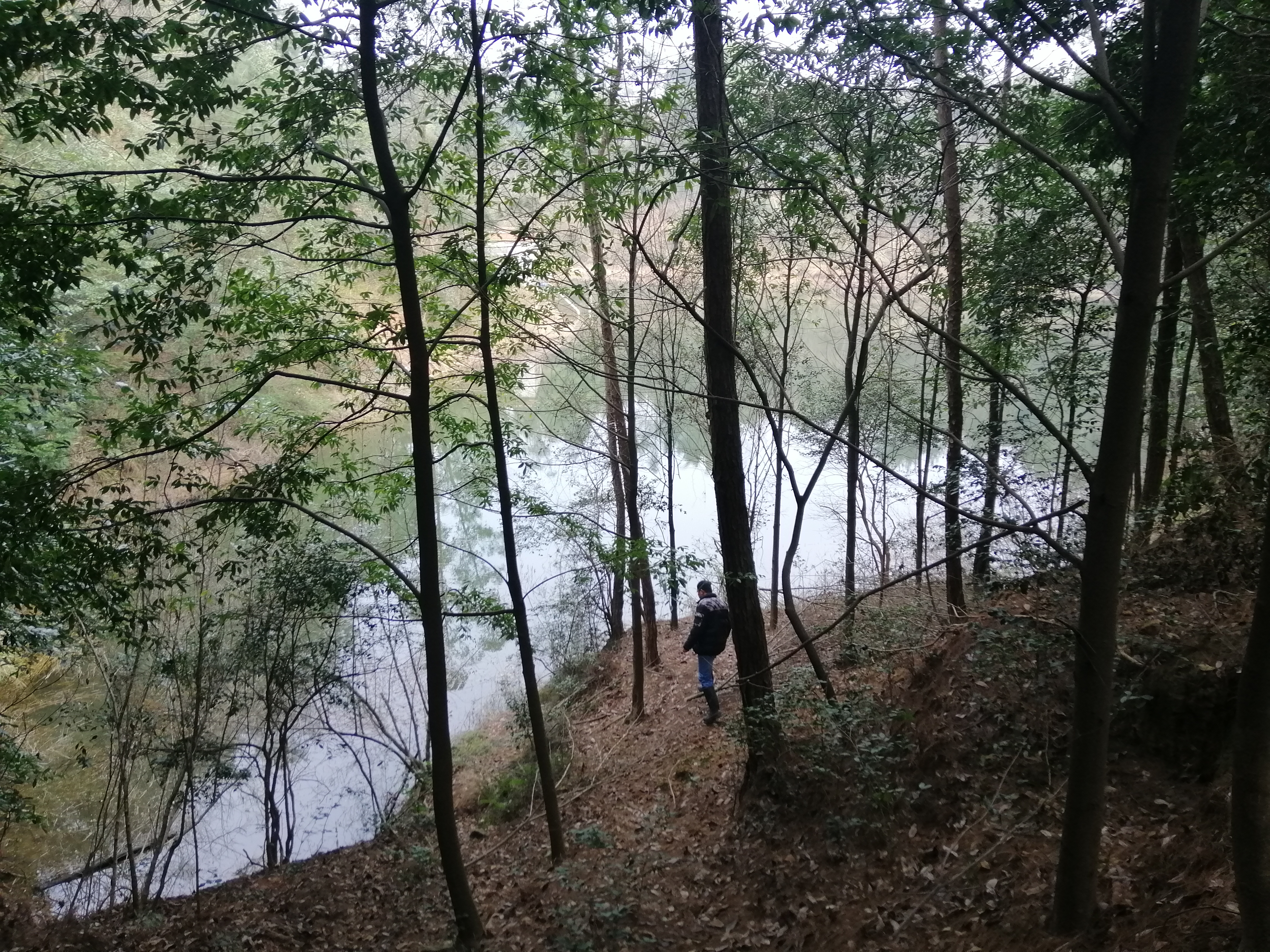 初春挑战攻略,初春挑战什么时候有