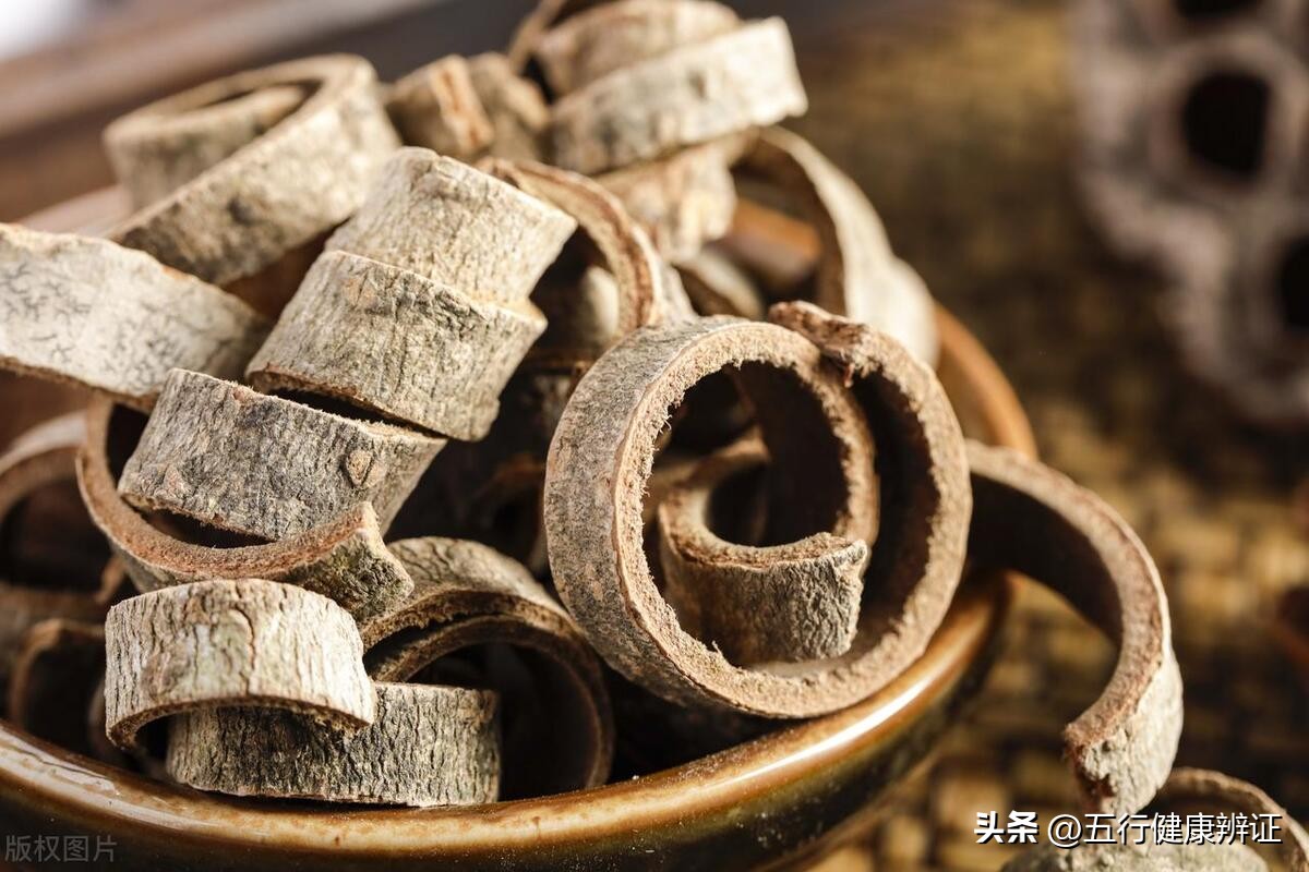 说得明白！中医治疗胃病，原理解析，配伍说明，案例分析！