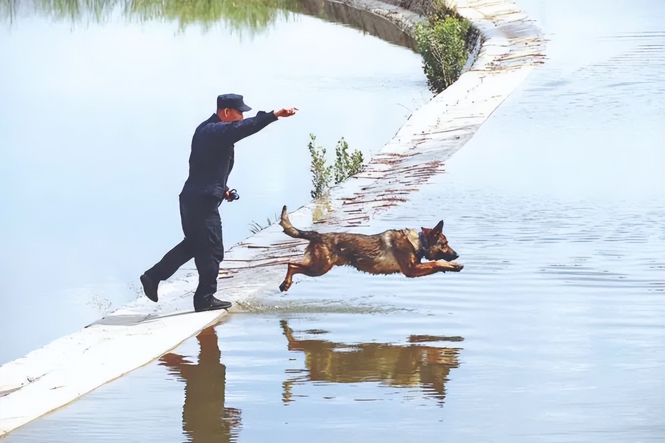 最美基层民警2017,最美基层警官广西