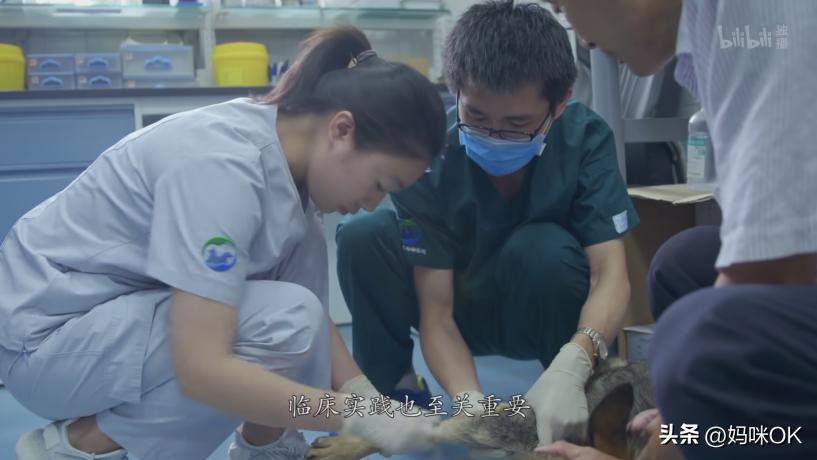 张雪峰讲的大实话一点不夸张,张雪峰十年前说的话已成现实