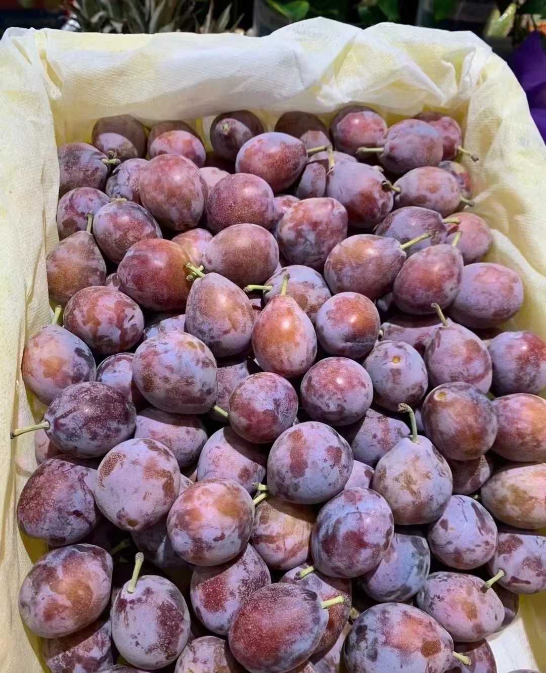 为什么减肥要吃西梅,一直吃西梅会一直瘦吗