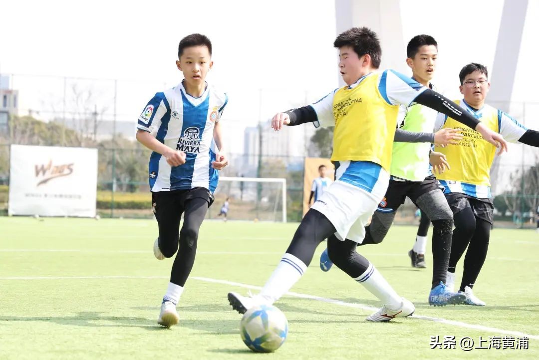 致力于青少年足球培训的“梦中情场”,还不来打卡!