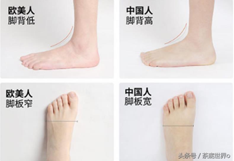 匡威是抄袭回力的吗,为什么匡威和回力不一样