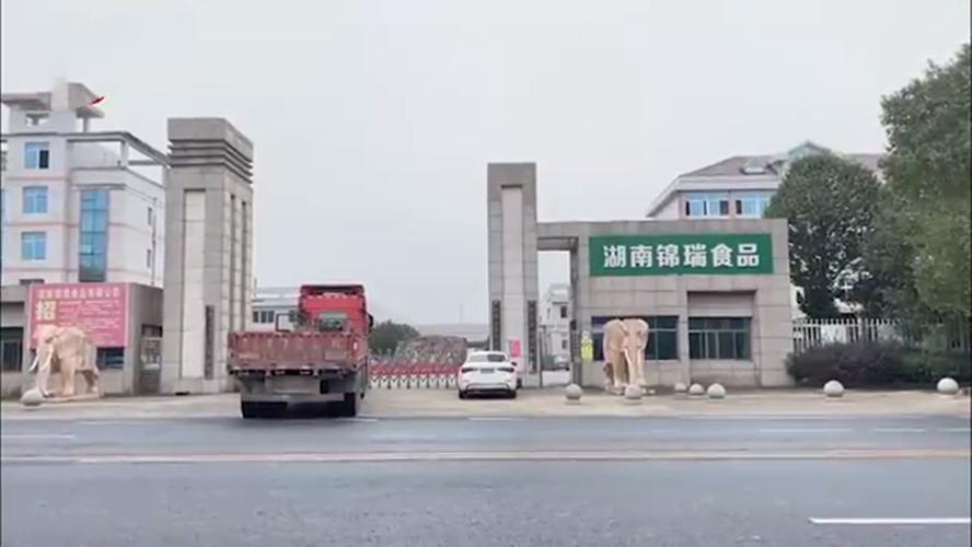 药品管得太紧，食品管得太松，土坑酸菜是什么时候开始的？