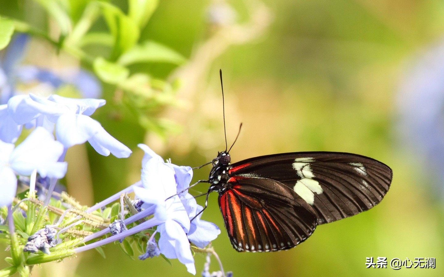 愿天下无“癌”：鼻咽癌患者，拒绝吃肉家人反对，半年后病毒清零