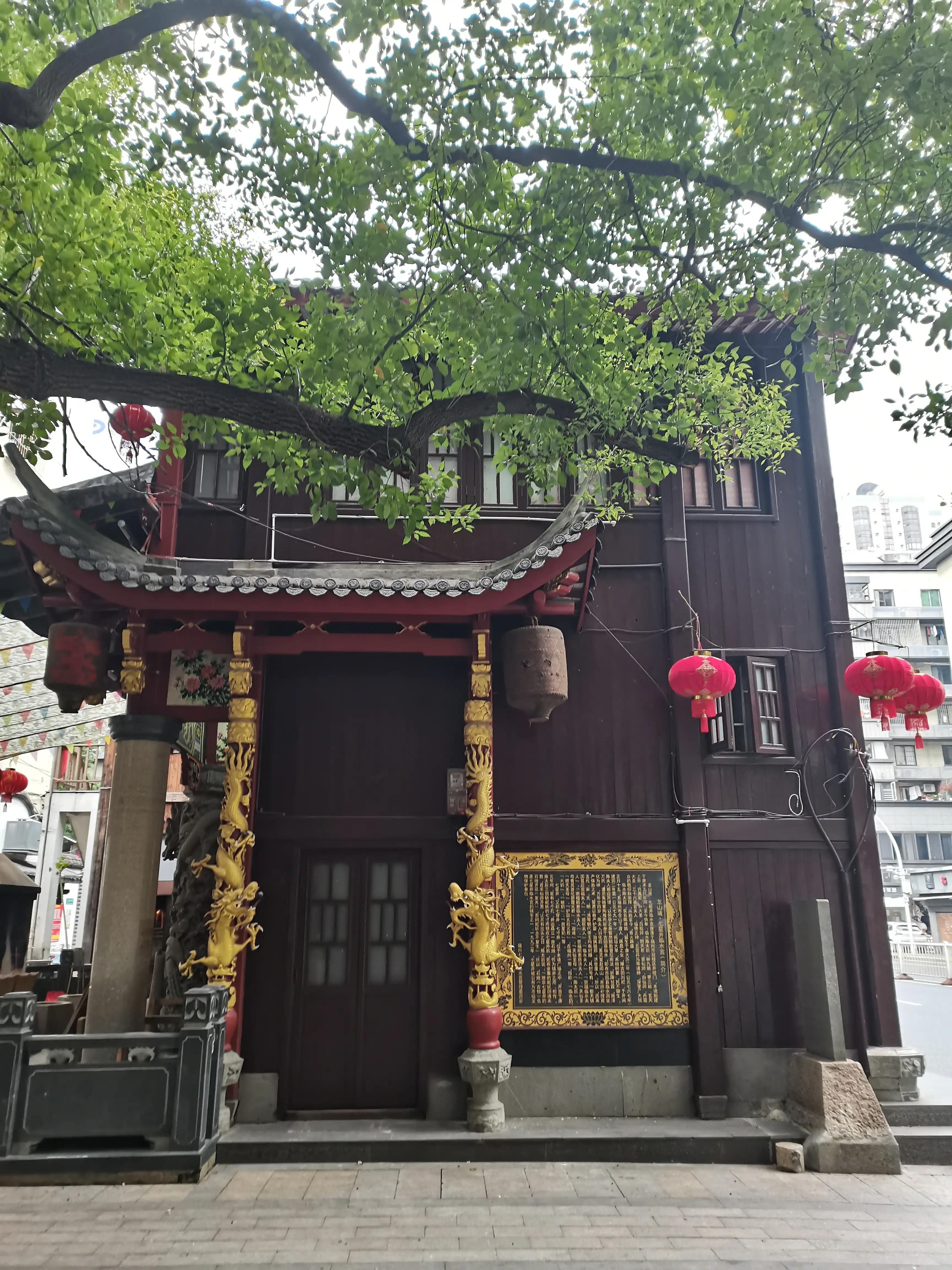 福州郁金香温泉公园,福州花海公园郁金香