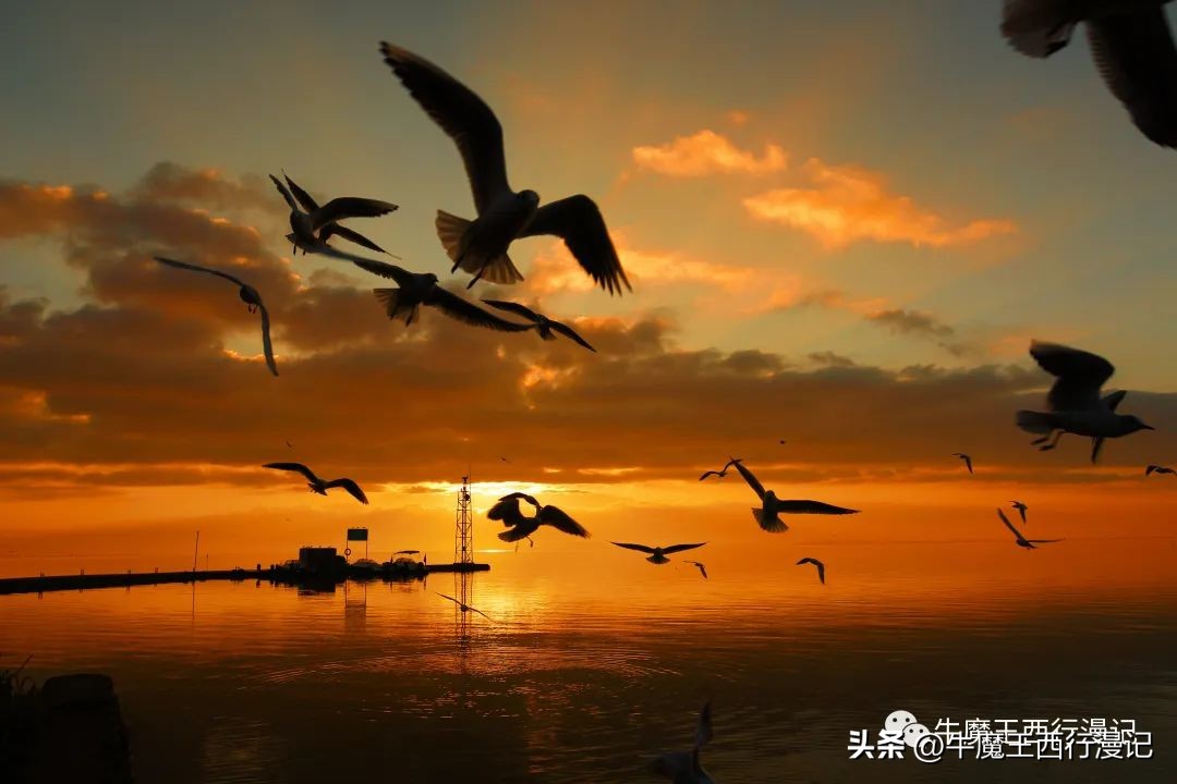 朝霞最美,最美朝霞歌曲