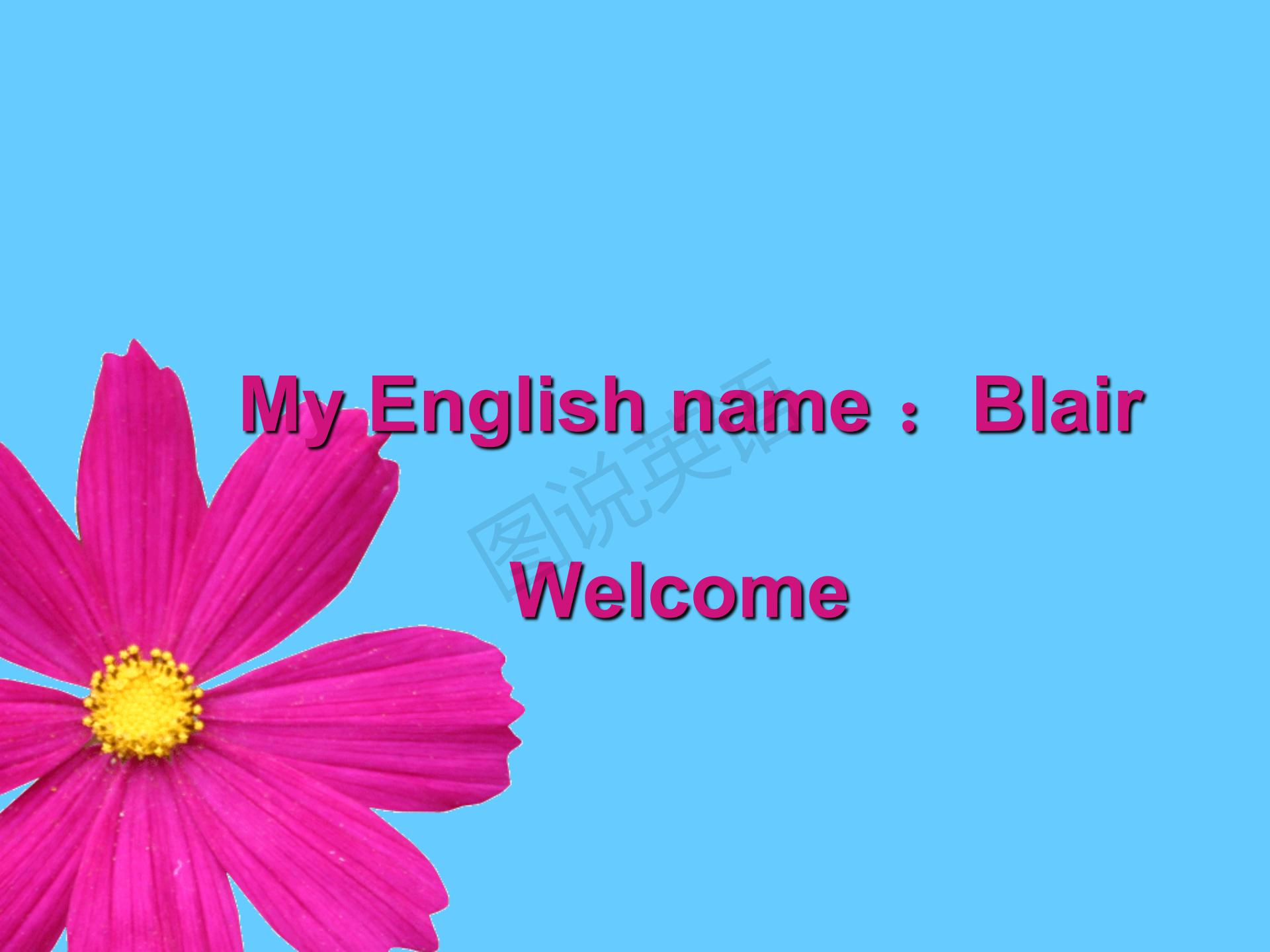 新概念第一册知识点总结课件,新概念英语第一册31到32课课件