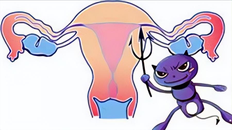 女性科普知识关于阴道的几个点,女性阴道生理科普小知识