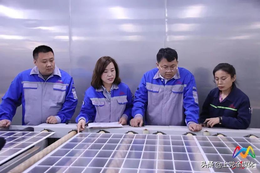 张泽波长治,上党区张泽波