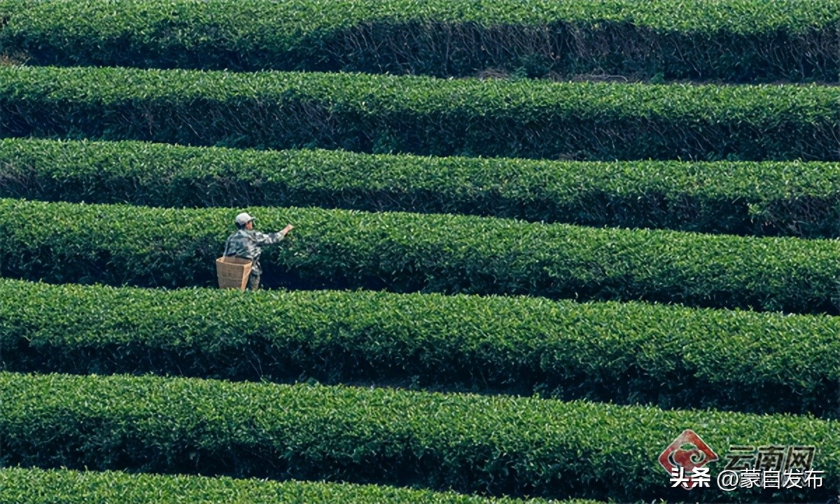 跟着音乐游云南,跟着民歌游云南