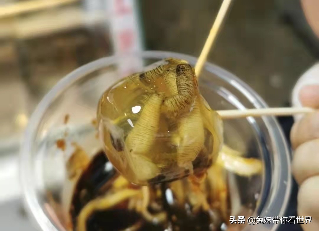 我的2020旅行回顾厦门鼓浪屿,我的厦门之旅完整版