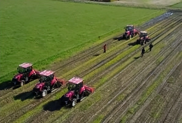 2023qs排名top100,qs排名2023完整榜单