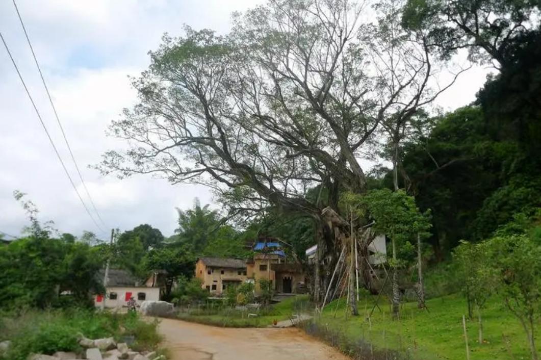 来儿子家养老,大妈想掌管小两口工资,儿子忍无可忍把她送回老家