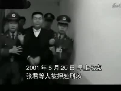 湖南连杀6人杀人犯落网,湖南张君杀人案纪实全集