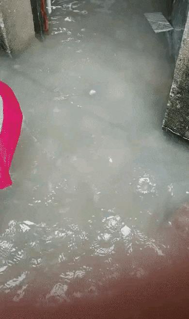 肾虚健身可以调理吗,肾虚健身可以改善吗