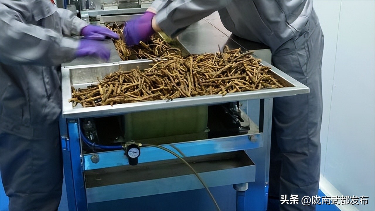 俄罗斯出口中国中草药,俄罗斯中草药