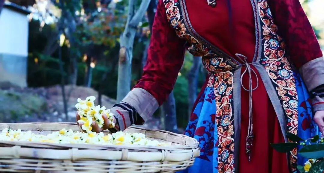 浮生茶语人生如茶茶味在心,浮生茶语珍惜时光不负韶华