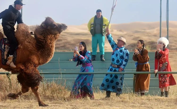 内蒙奈曼旗摄影,内蒙古通辽市奈曼旗宝古图沙漠