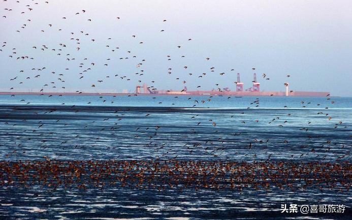 丹东东港旅游景点大全攻略,丹东东港旅游景点哪里好玩