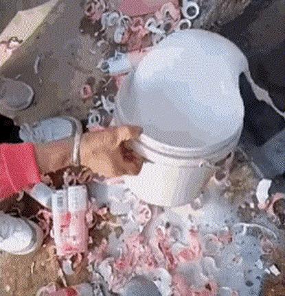 陈飞宇张颂文,陈飞宇陈凯歌张译张颂文